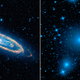 Illustration for article titled NASA announces new findings on black holes and extreme cosmic objects